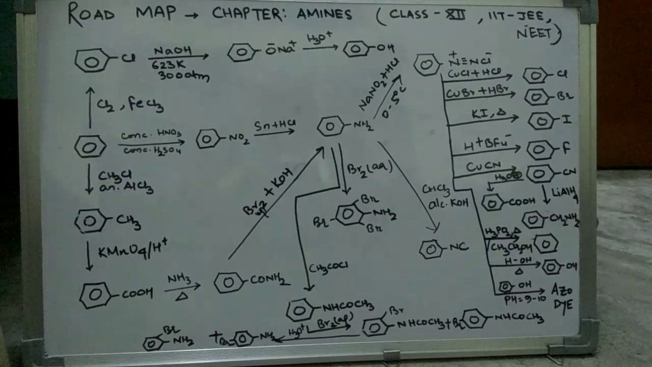ChemistryRoad map Amines, Class 12, JEE MAINS AND ADVANCED, NEET