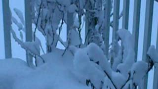 DSCN1893.AVI