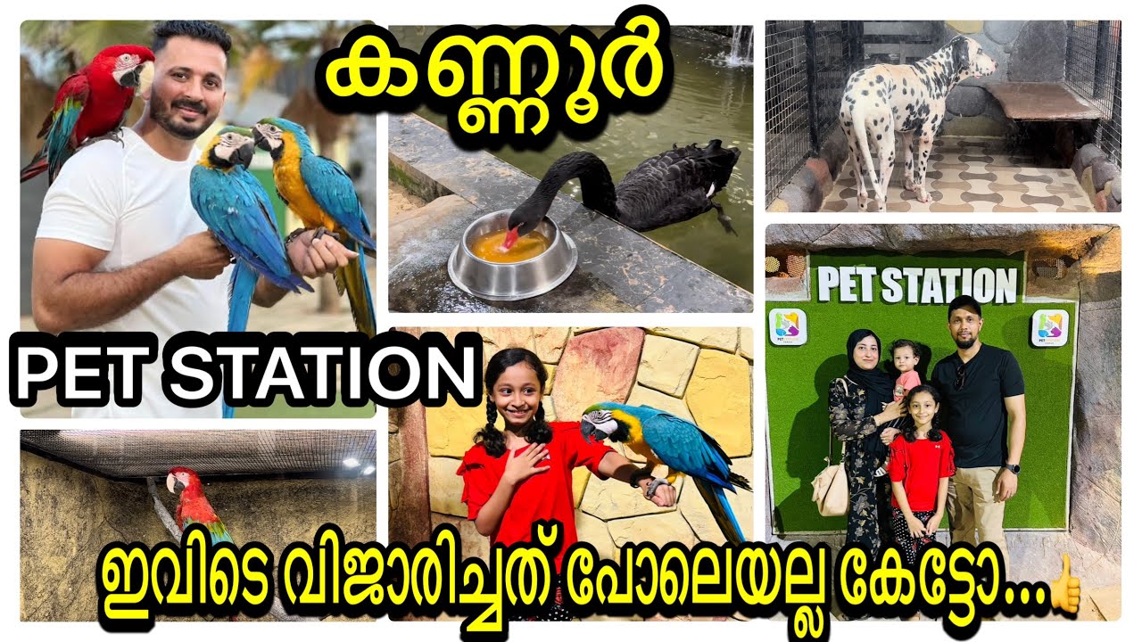 Kannur pet station YouTube