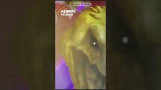 Review Grafik Anime Tate No Yuusha Season 3 #anime #tatenoyusha #review #shorts #animeedit #animes