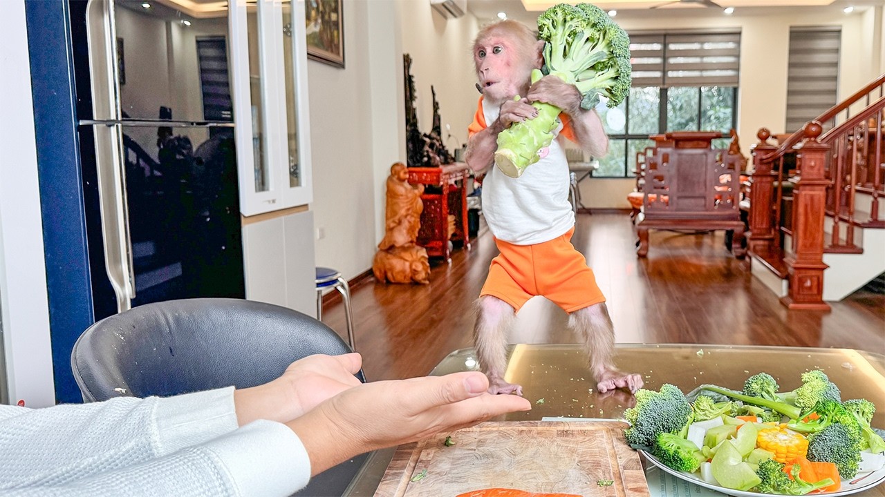 Bibi helps dad prepare healthy vegetables!