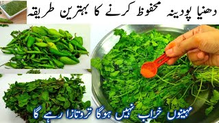 How to Save Mint And Coriander Leaves For 2-3 Month | Podina Aur Hara Daina Mehfooz Karne Ka Tarika