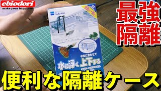 【アクアリウム水槽熱帯魚】最強の隔離ケースレビュー