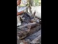 Siaran langsung Gun NawanForge