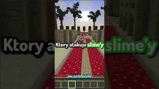 Start już w piątek 🩵 Discord: dsc.gg/rngcore #minecraft #rng #server #serwerminecraft