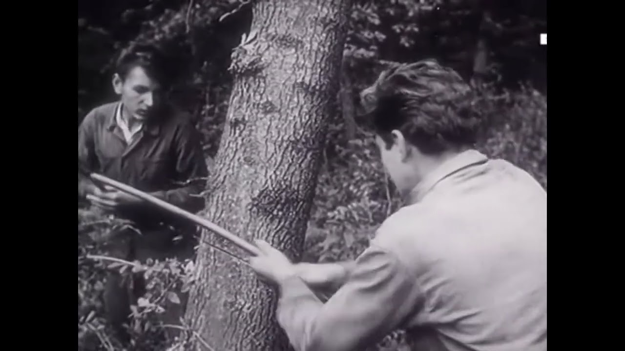 Zohor 1958   Mládež buduje odvodňovací kanál