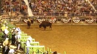 2012 Ogden Utah Pioneer Rodeo One Armed Bandit Buffalo Show.