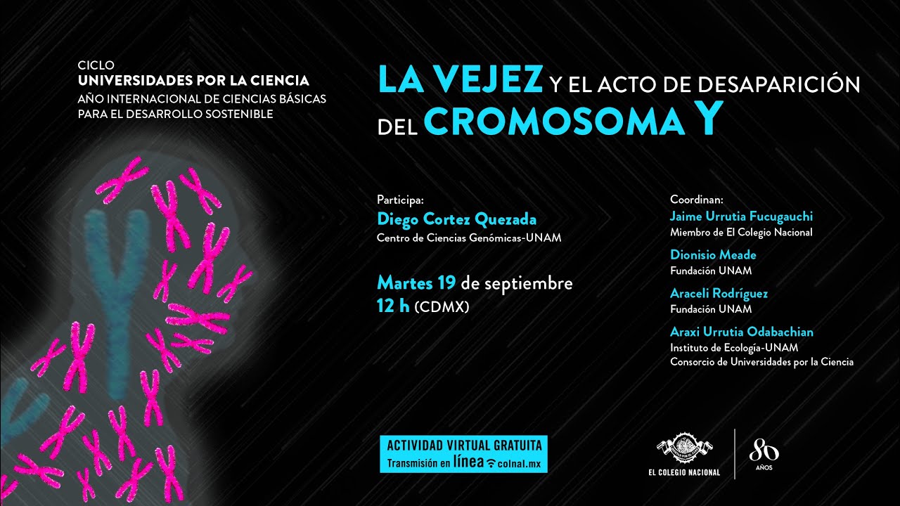 La vejez y el acto de desaparición del cromosoma Y | Ciclo Universidades por la ciencia