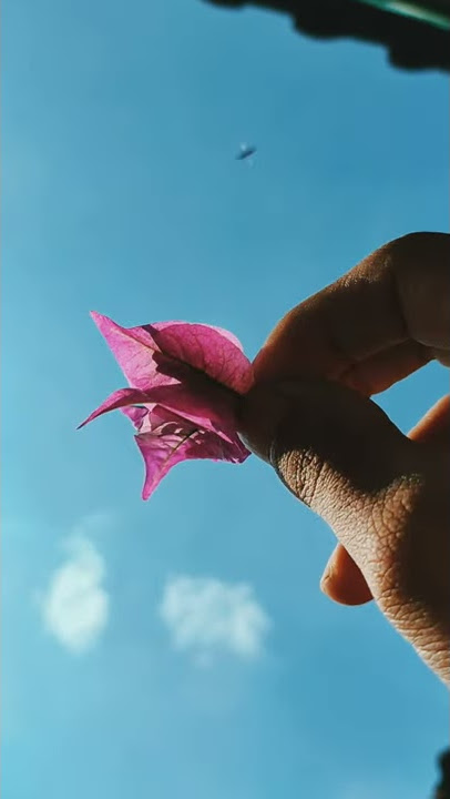 Story wa dan ig Aesthetic keren tiktok
