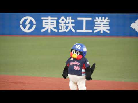 入念な準備運動から、せく腹〜！つば九郎 2021.5.22
