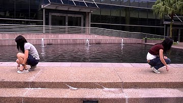 Virtual Instruments with Microsoft Kinect Online