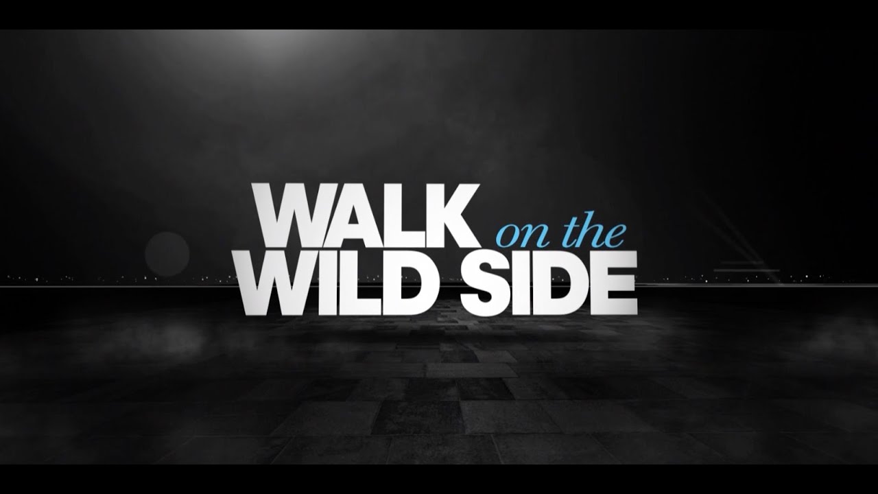 Walk on the Wild Side Trailer Movies TV Network YouTube Walk on the Wild Side Trailer Movies TV Network YouTube