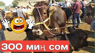 Уй торпогу менен 300 миң сом!
Өзгөн Мал базары!