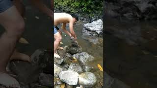 Dampalit#highlights #subscribe #notification #share#like