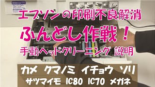 印字不良解消！手動ヘッドクリーニング（ふんどし作戦）の方法　エプソン、カメ、さつまいも、クマノミ、イチョウ、ソリ、メガネ、IC80、IC70、ヨット　など