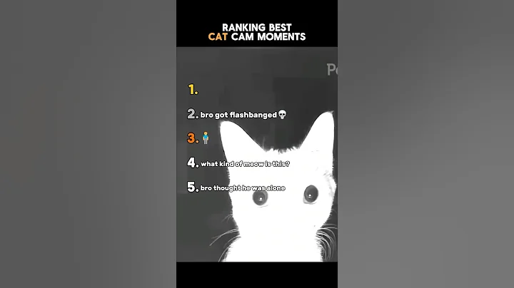 Video 11812271: best funny cat