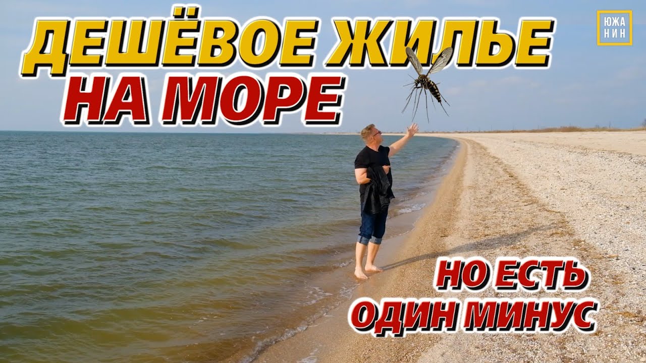 Кому у моря жить опасно? Приморско-Ахтарск: плюсы и минусы городка на Азове