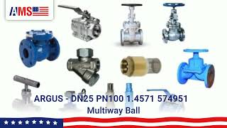 ARGUS DN25 PN100 1.4571 574951 Multiway Ball