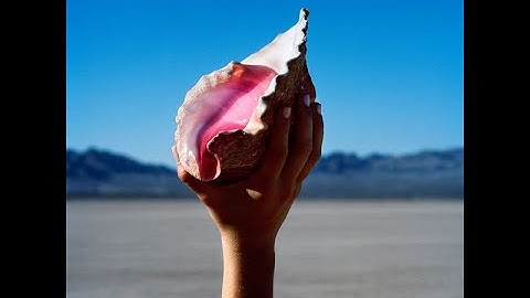 The Man Instrumental version - Instrumental performance video thumbnail