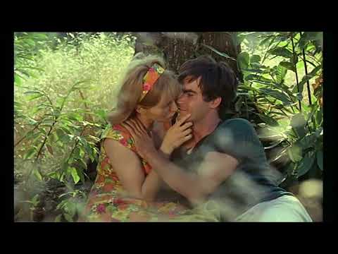 Mozart e il cinema - Il verde prato dell'amore (1965)