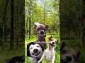 SANATATE MINTALA #sanatate #minte #funny #meme #5pasidebine #fyy #activitate va iubesc💞ྀིྀི