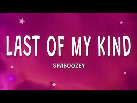Shaboozey Shaboozey - Last Of My Kind feat. PaulCauthen - Last Of My Kind (Extended Version)