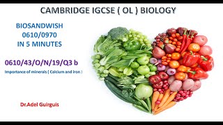 Solving 0610/43/o/n/19/Q3b - Diet