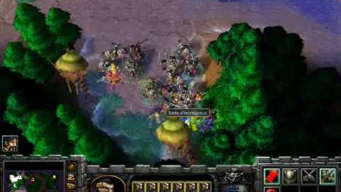 Warcaft3 cheatscodes