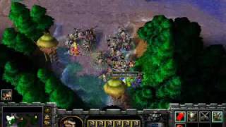 Warcaft3 cheatscodes