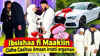 Ibsishaa fii Maakii cidha caaltuu irratti waan tahan