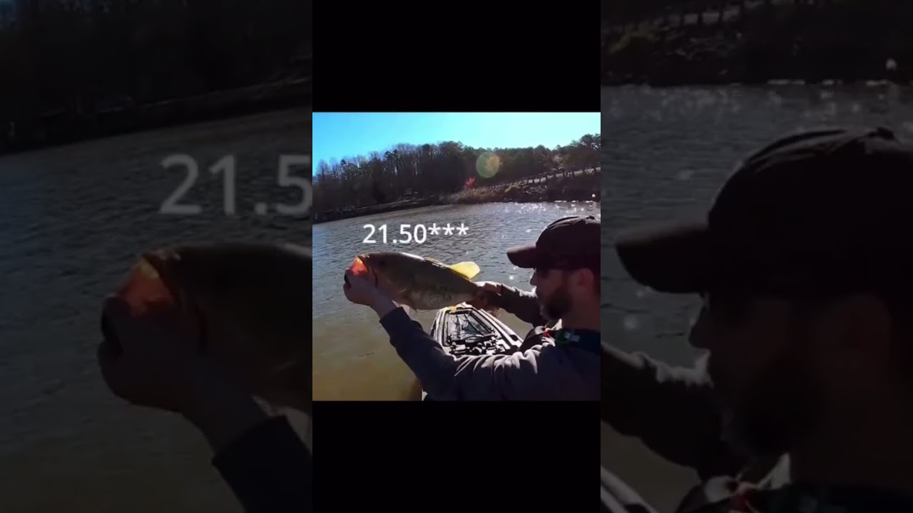 Bass Fishing / catching Big Bass 😳 