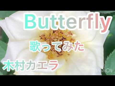 【歌ってみた】Butterfly/木村カエラ 原キー 女 歌詞付き カバー cover by風呼アローラ