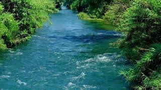 #River #Forest #Waterfall #Cascade That Nature View I vfx8k