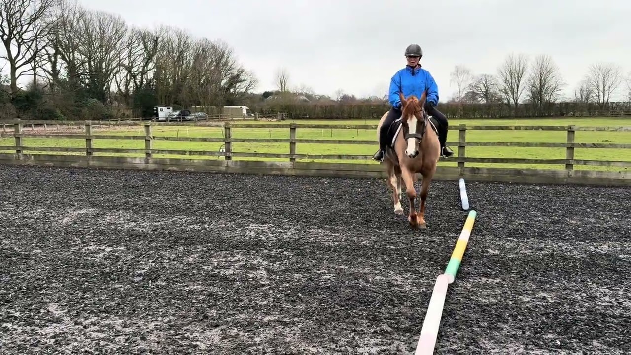 BRC Walk & Trot Test B