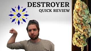 DESTROYER! TRY THIS HOLY SATIVA! HIGH THC NO ANXIETY ! GREAT MEDICAL & RECREATIONAL STRAIN ! REVIEW