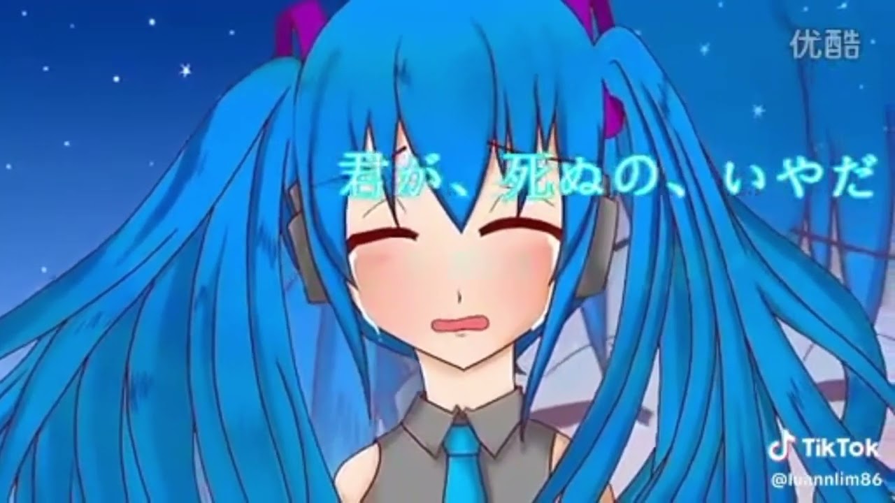 Crystal diva × dolphin rayH