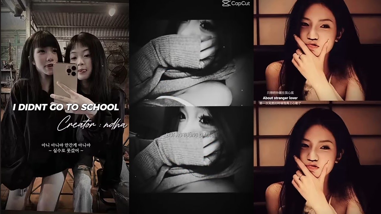 [#43]  🔊 🎵Tổng Hợp Các Video Có Trên Capcut 🎶 #youtube | Chiuchiu music🎶🎶🎶