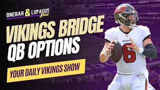 Bridge Quarterback Options for Minnesota Vikings
