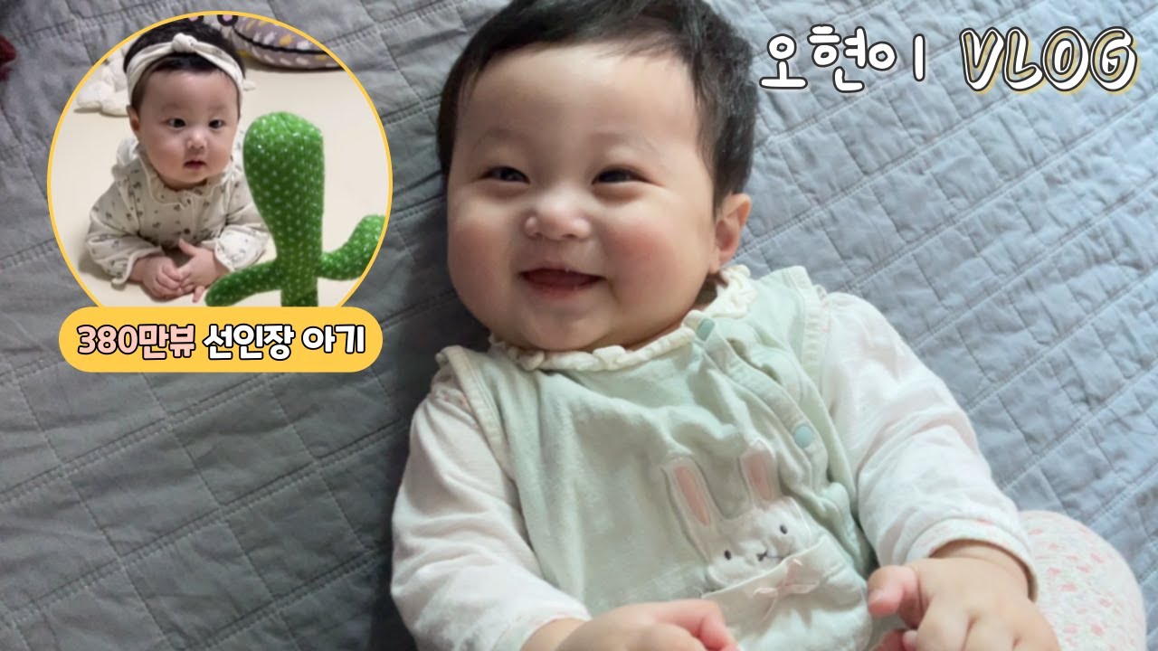 오현이 Vlog (선인장 그 아기🌵, 오현이 특집 )
