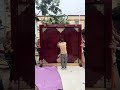 One Door for Life | Solid Wood Craftsmanship