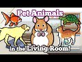 Cute Pet Animals in the Living Room | Drawing and Coloring with Glitter & Googly Eyes