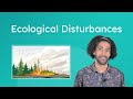 Ecological Stability and Disturbances Quiz