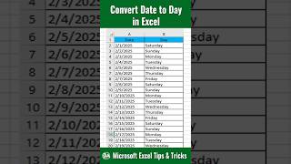 MS Excel - Convert Date to Day ll How to Convert Date to Day in Microsoft Excel ll Bivash Academy