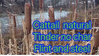Cattail natural tinder no char