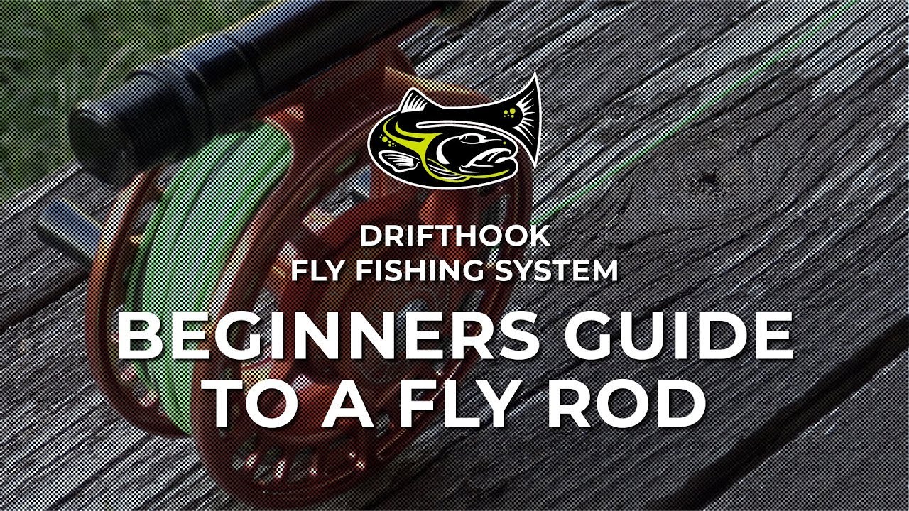 Fly rod action explained — Taylor Fly Fishing