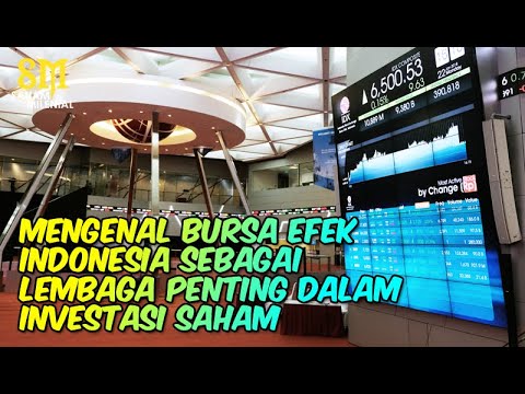 Apa Pentingnya Bursa Efek Indonesia dalam Investasi Saham