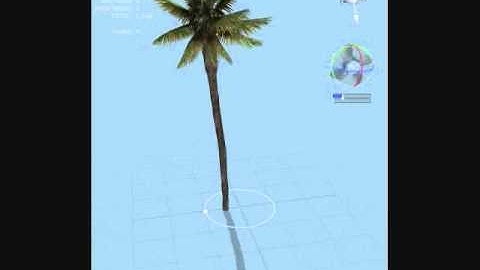SpeedTree palmtree