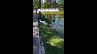 Красивые места Крыма