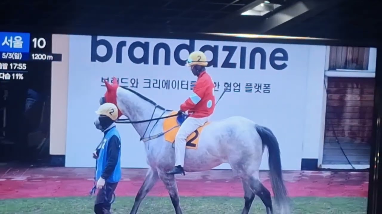 2.번7번 둘중하나가자연승으로