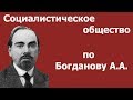 Социалистическое общество по Богданову А.А.